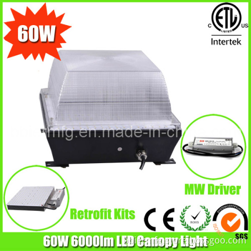 60W Retrofit Canopy to LED